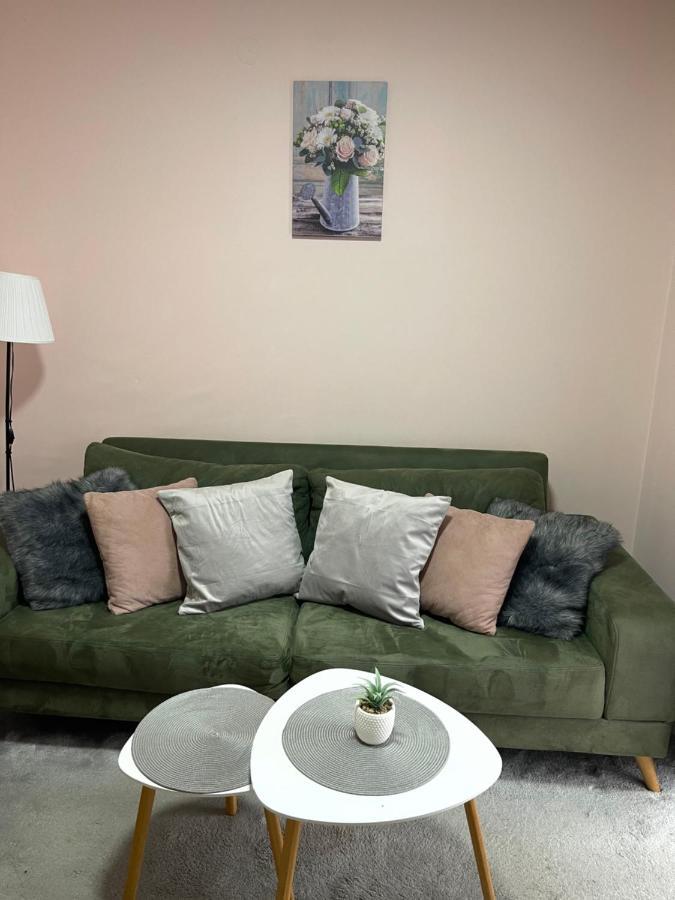Apartment Cactus 021 โนวีซาด ภายนอก รูปภาพ